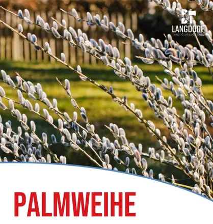 Palmweihe 2025